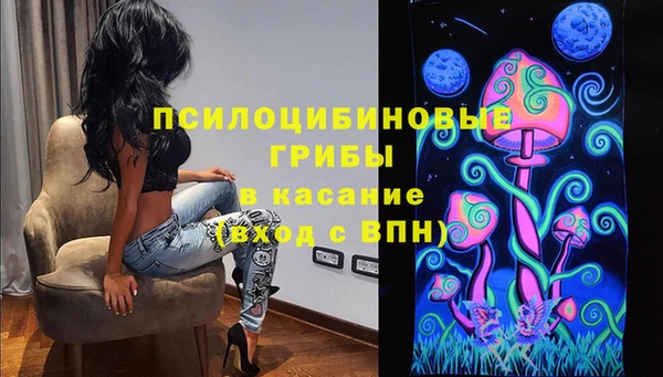 ешки Алзамай