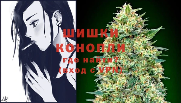ешки Алзамай
