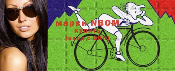 твердый Алексин