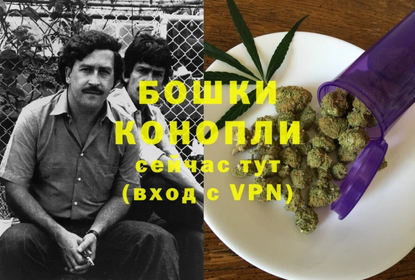 ешки Алзамай