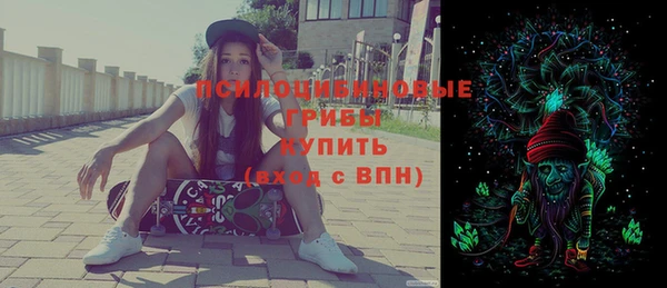 твердый Алексин