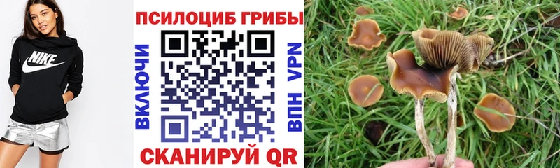 Галлюциногенные грибы мицелий  наркошоп  Пласт 